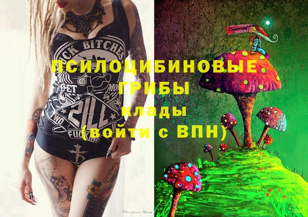 PSILOCYBIN Алексеевка