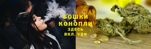 PSILOCYBIN Алексеевка